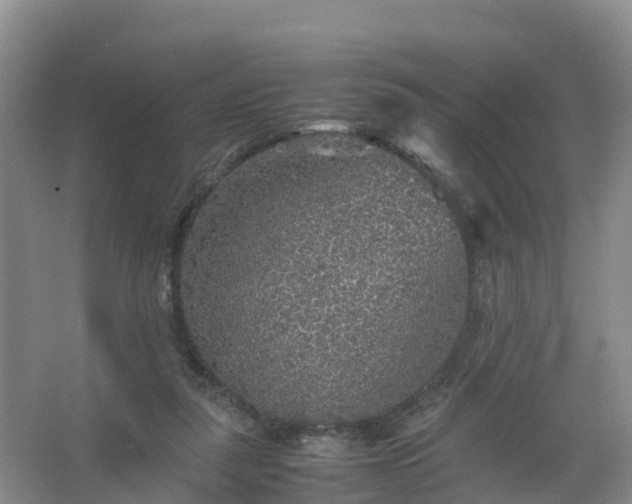 X0000067460259200604142332