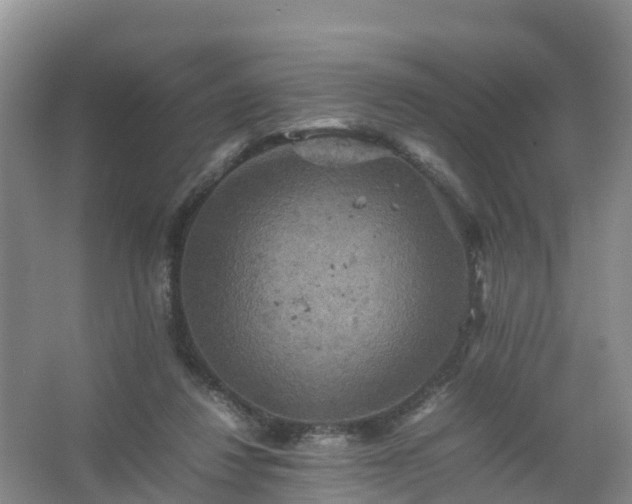 X0000067460260200604142332