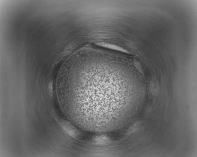 X0000067460262200604142332