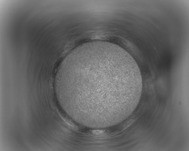 X0000067460265200604142332