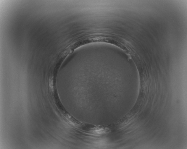 X0000067460267200604142332