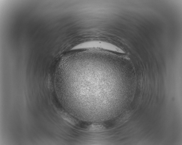 X0000067460270200604142332