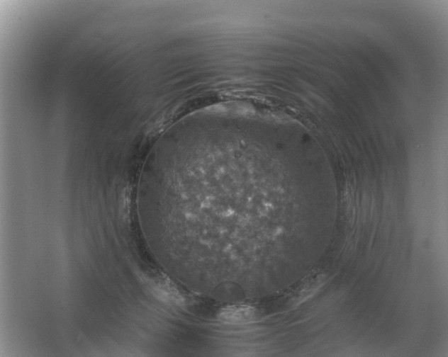 X0000067460271200604142332