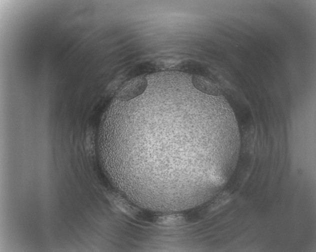 X0000067460274200604142332