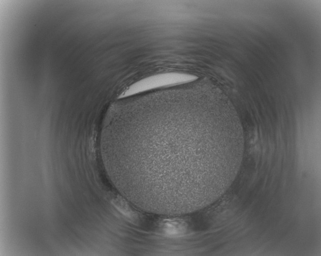 X0000067460275200604142332