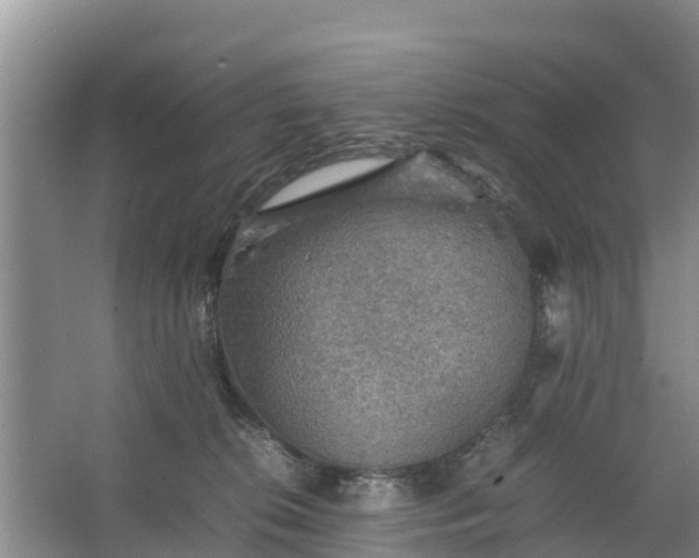 X0000067460276200604142332