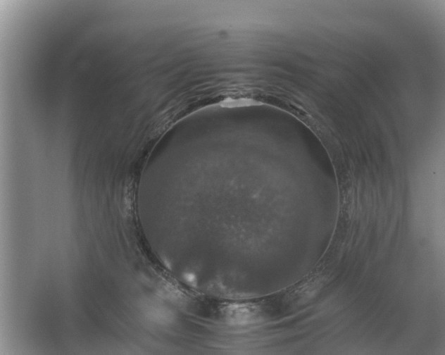 X0000067460277200604142332