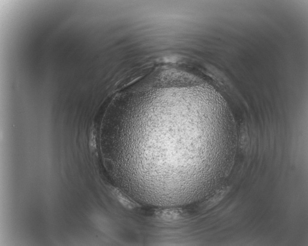 X0000067460282200604142332