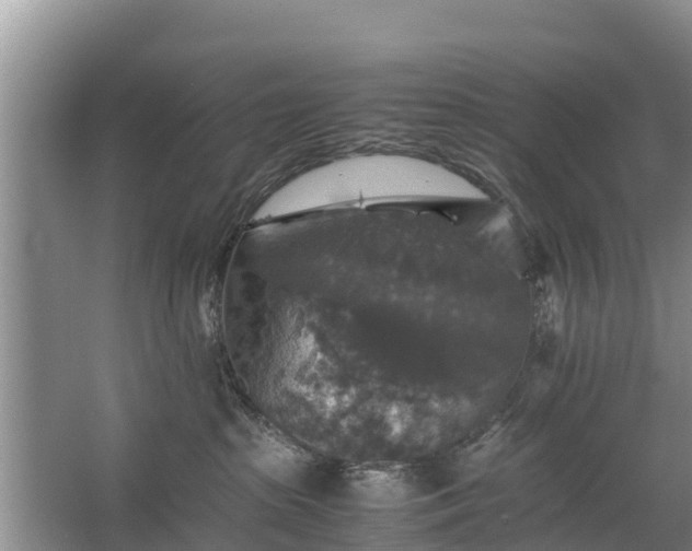 X0000067460285200604142332