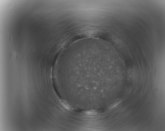 X0000067460286200604142332