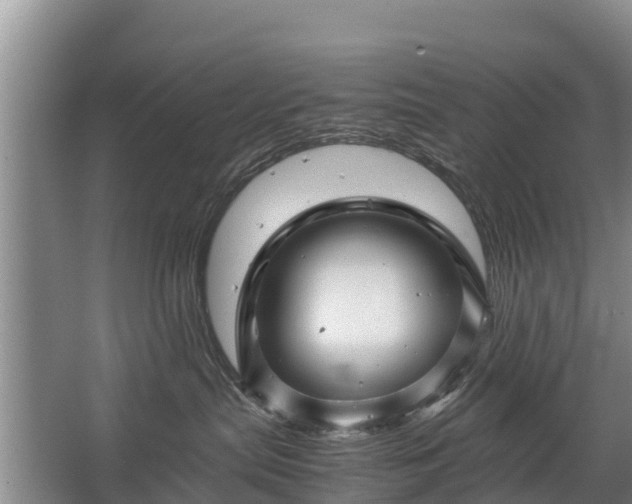 X0000067460287200604142332