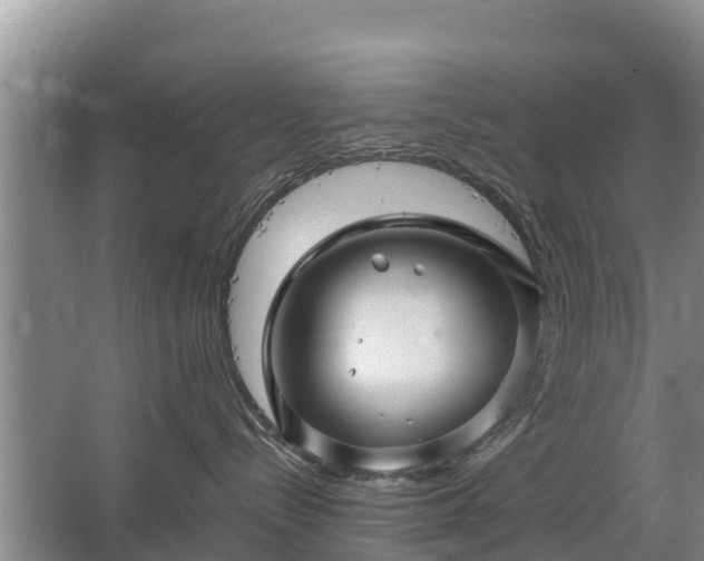 X0000067460288200604142332