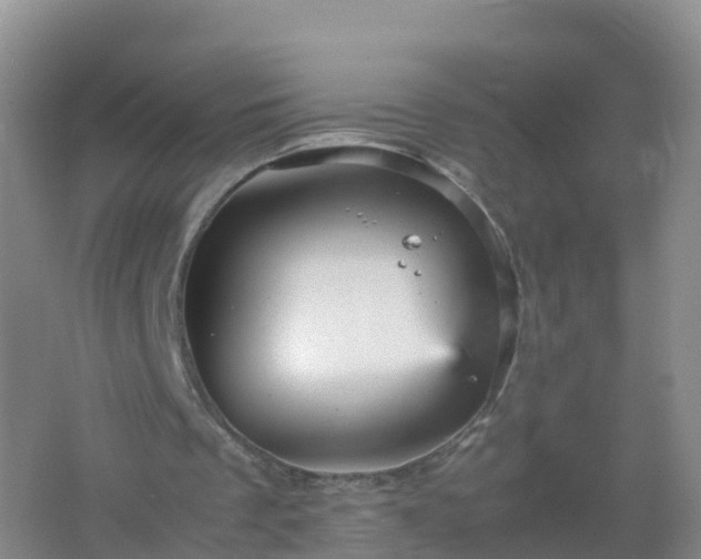 X0000067460289200604142332