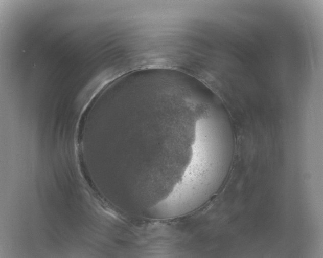 X0000067460290200604142332