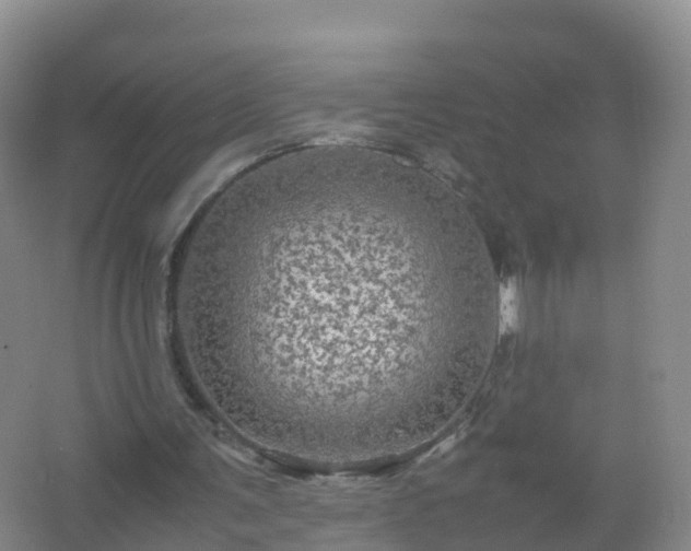 X0000067460291200604142332