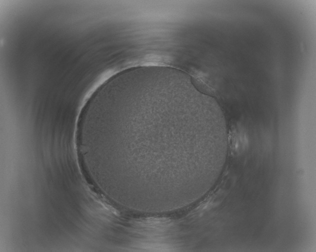 X0000067460292200604142332