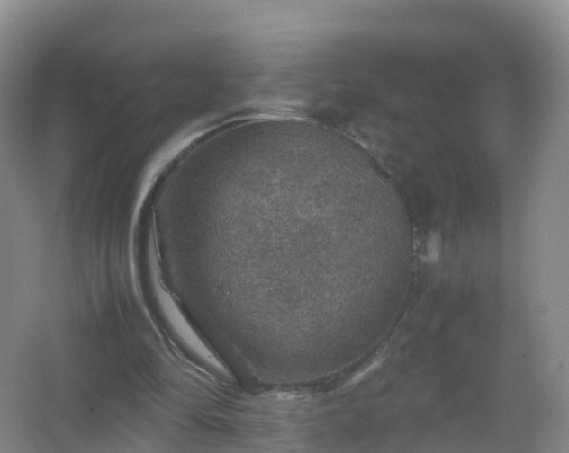 X0000067460294200604142332