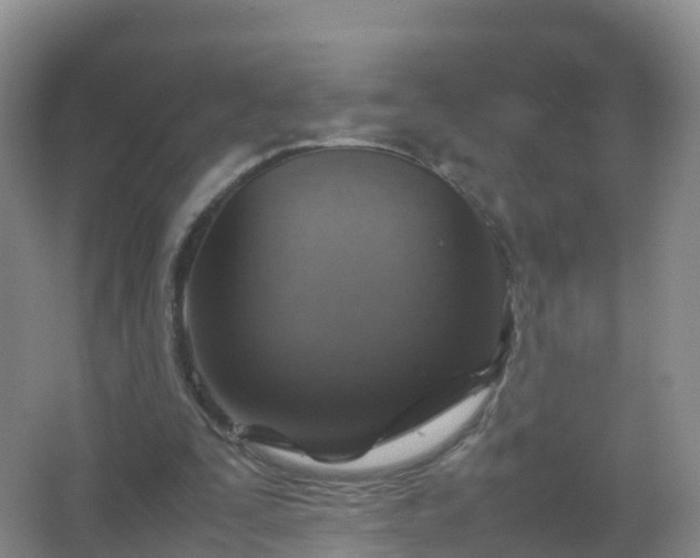 X0000067460295200604142332