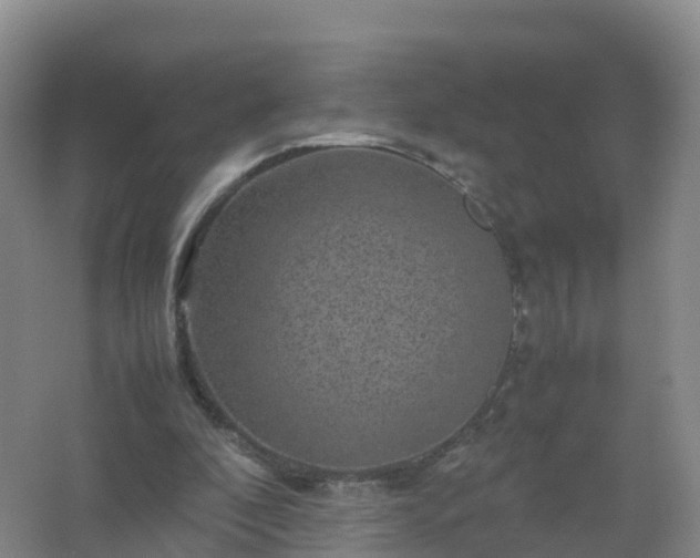 X0000067460296200604142332