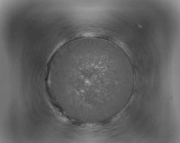 X0000067460297200604142332