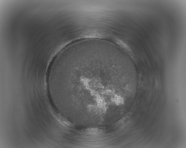 X0000067460298200604142332