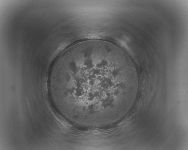 X0000067460299200604142331