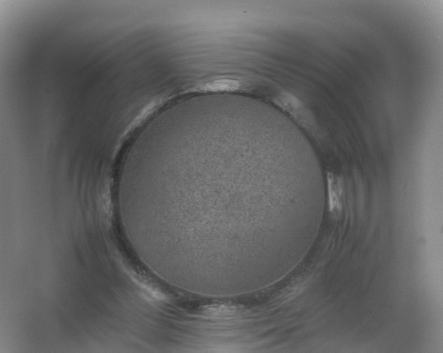 X0000067460300200604142331