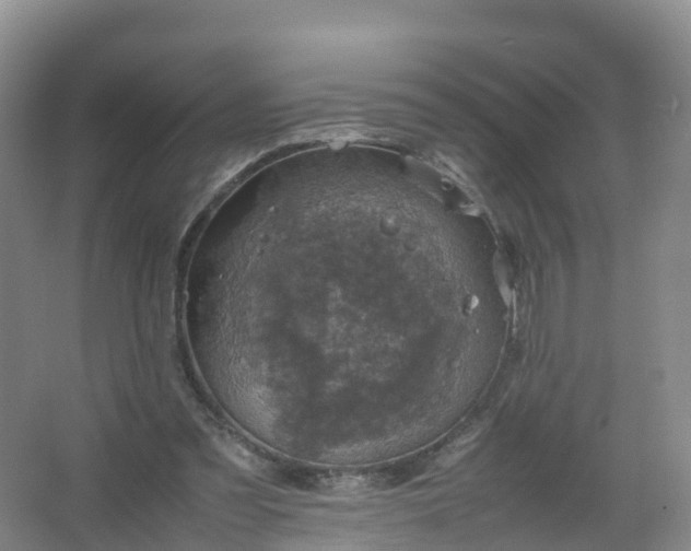 X0000067460301200604142331