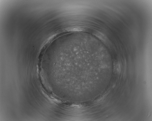 X0000067460302200604142331