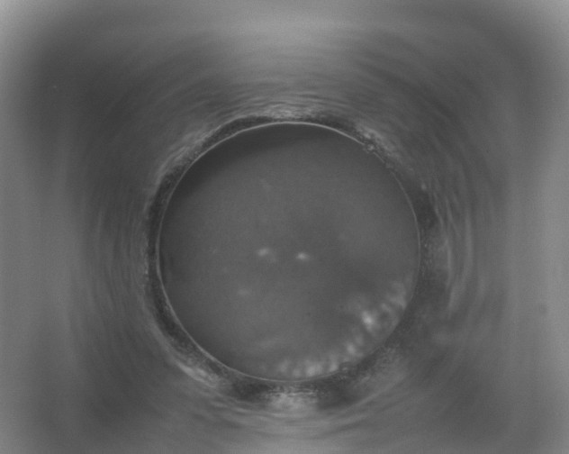 X0000067460303200604142331