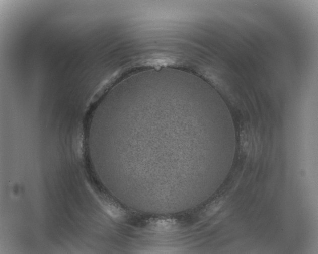 X0000067460304200604142331