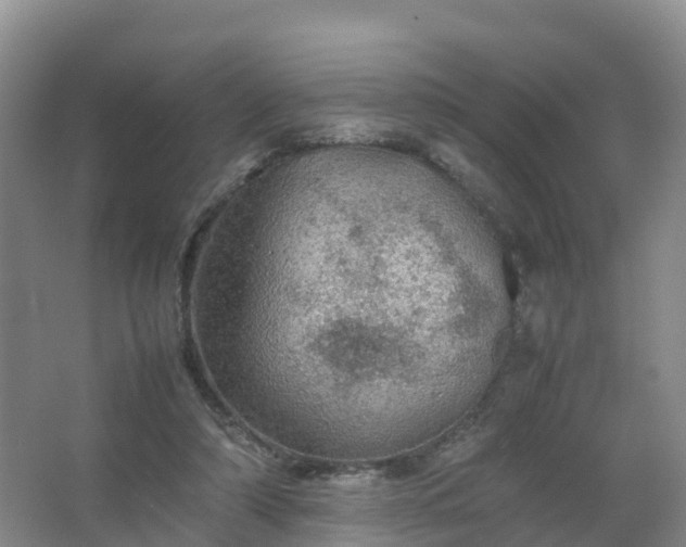 X0000067460306200604142331