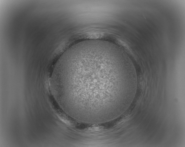 X0000067460307200604142331