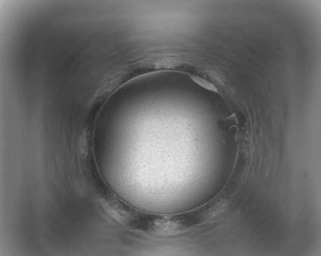 X0000067460311200604142331