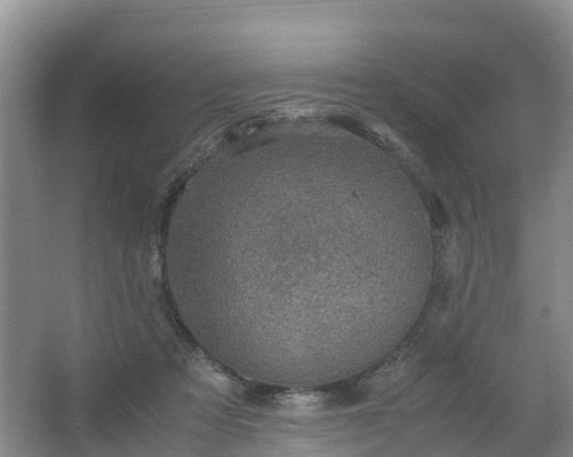 X0000067460313200604142331