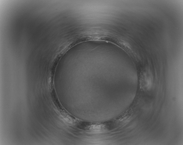 X0000067460314200604142331