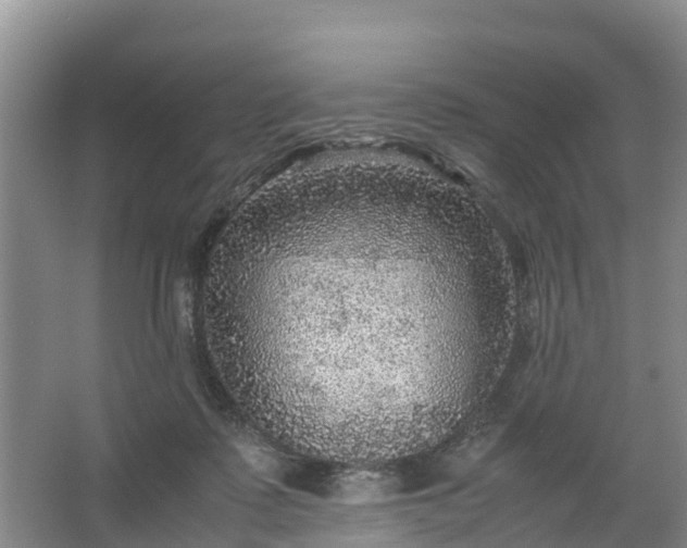 X0000067460315200604142331