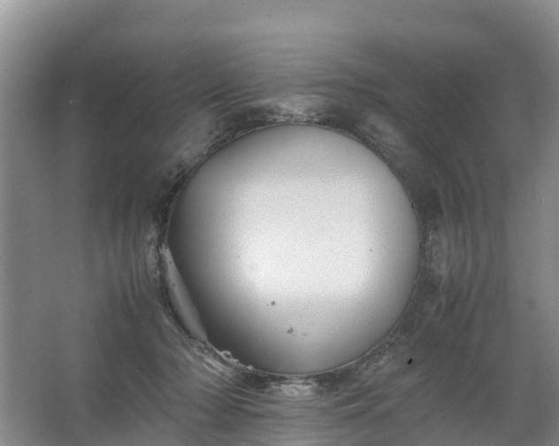 X0000067460318200604142331