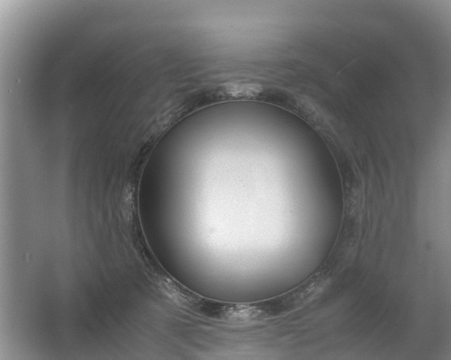 X0000067460321200604142331