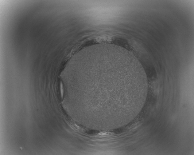 X0000067460323200604142331