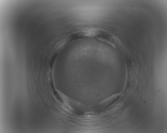 X0000067460325200604142331