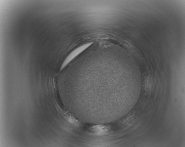 X0000067460326200604142331