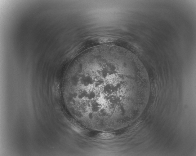 X0000067460327200604142331