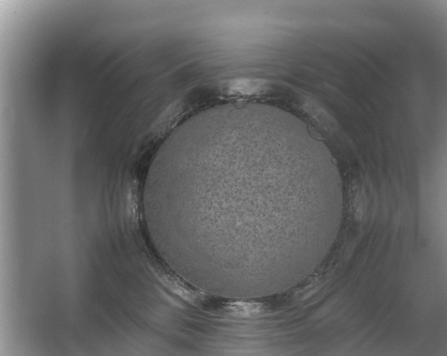 X0000067460328200604142331