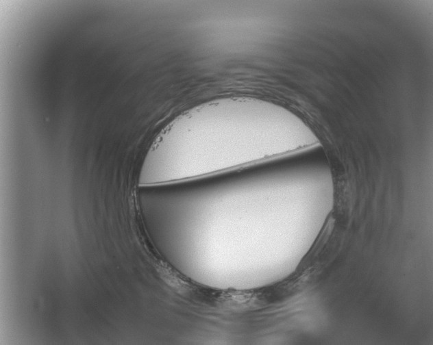 X0000067460329200604142331