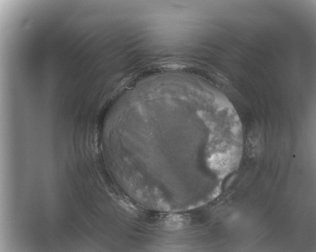 X0000067460330200604142331