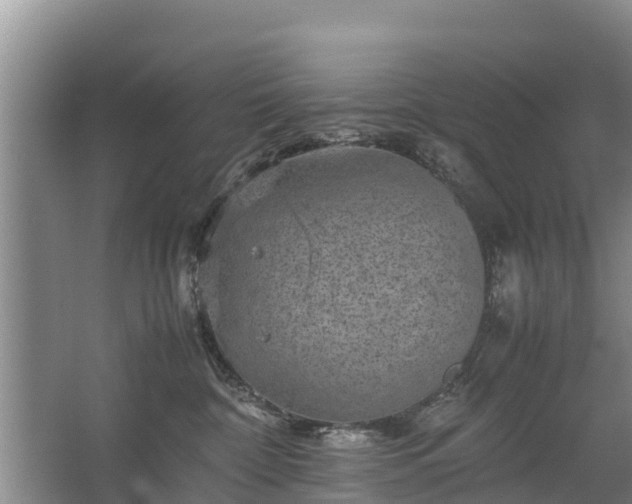 X0000067460332200604142331