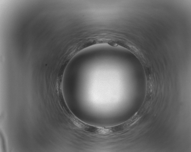 X0000067460333200604142331