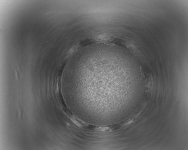 X0000067460334200604142331