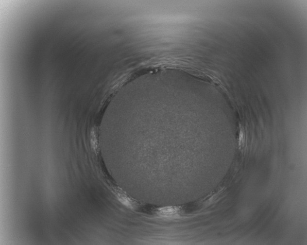 X0000067460335200604142331